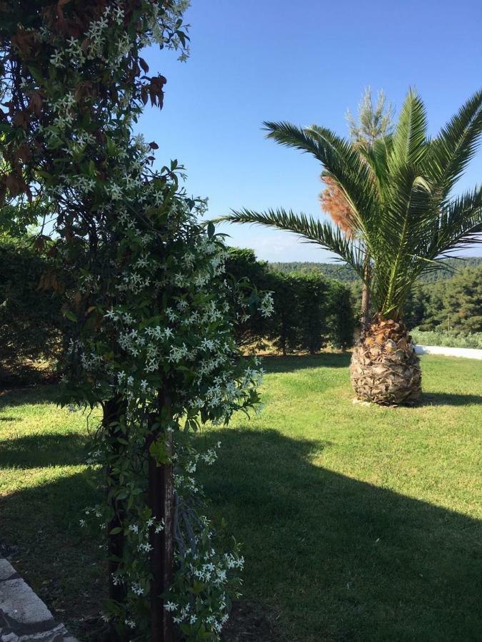 3 Bedroom Villa In Elani Villas Chalkidiki Siviri Buitenkant foto