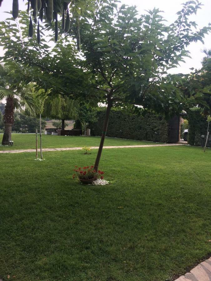 3 Bedroom Villa In Elani Villas Chalkidiki Siviri Buitenkant foto